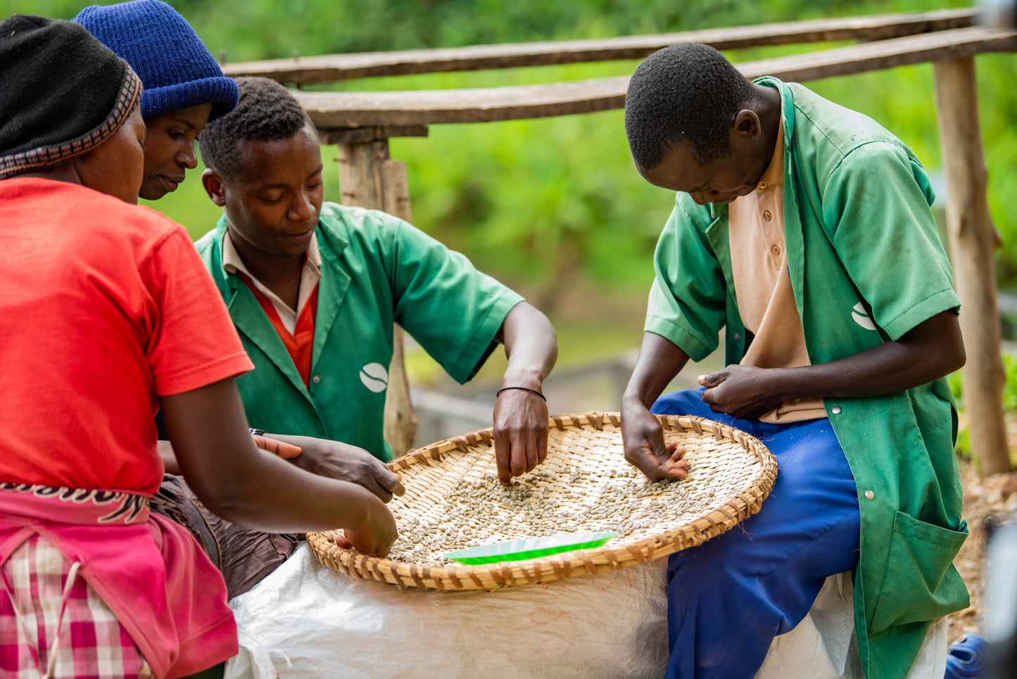OBSTSALAT - Filterkaffee aus Ruanda