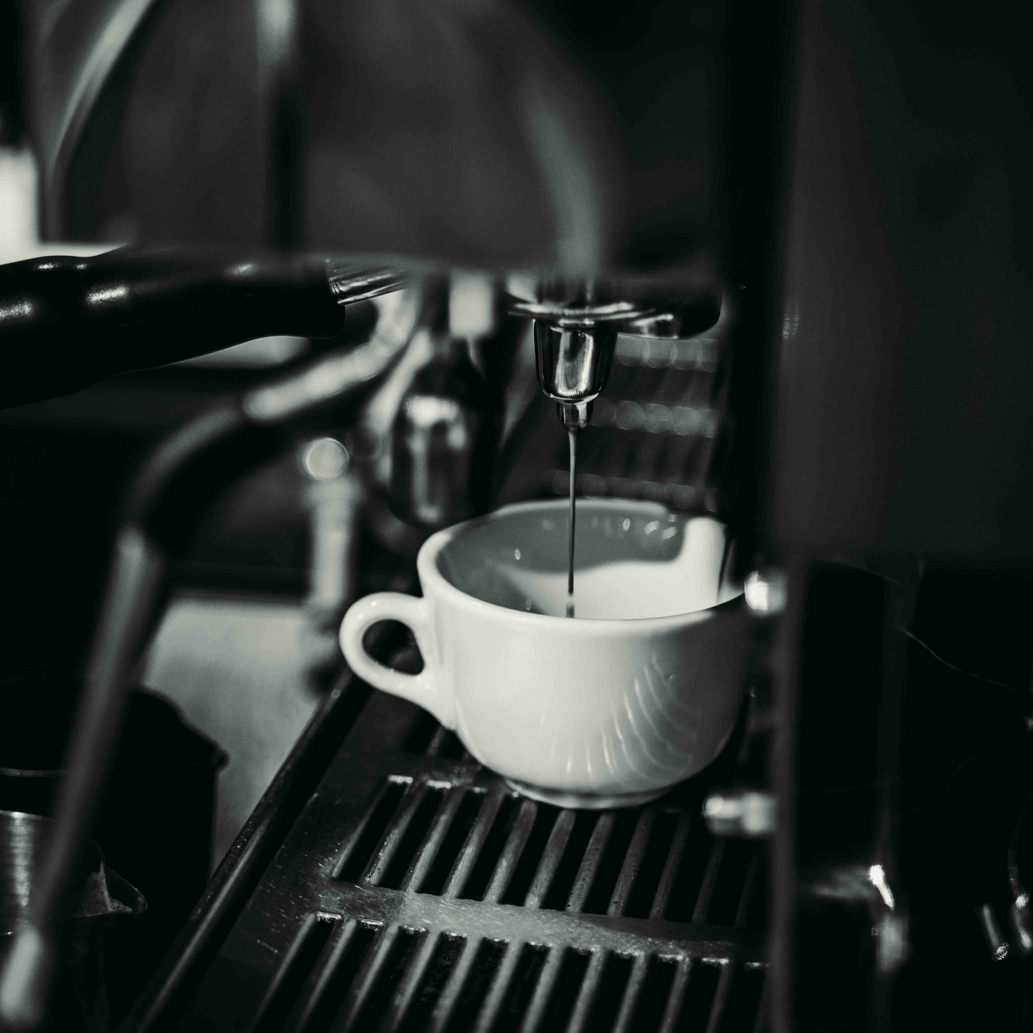 Torreo Geschenkgutschein