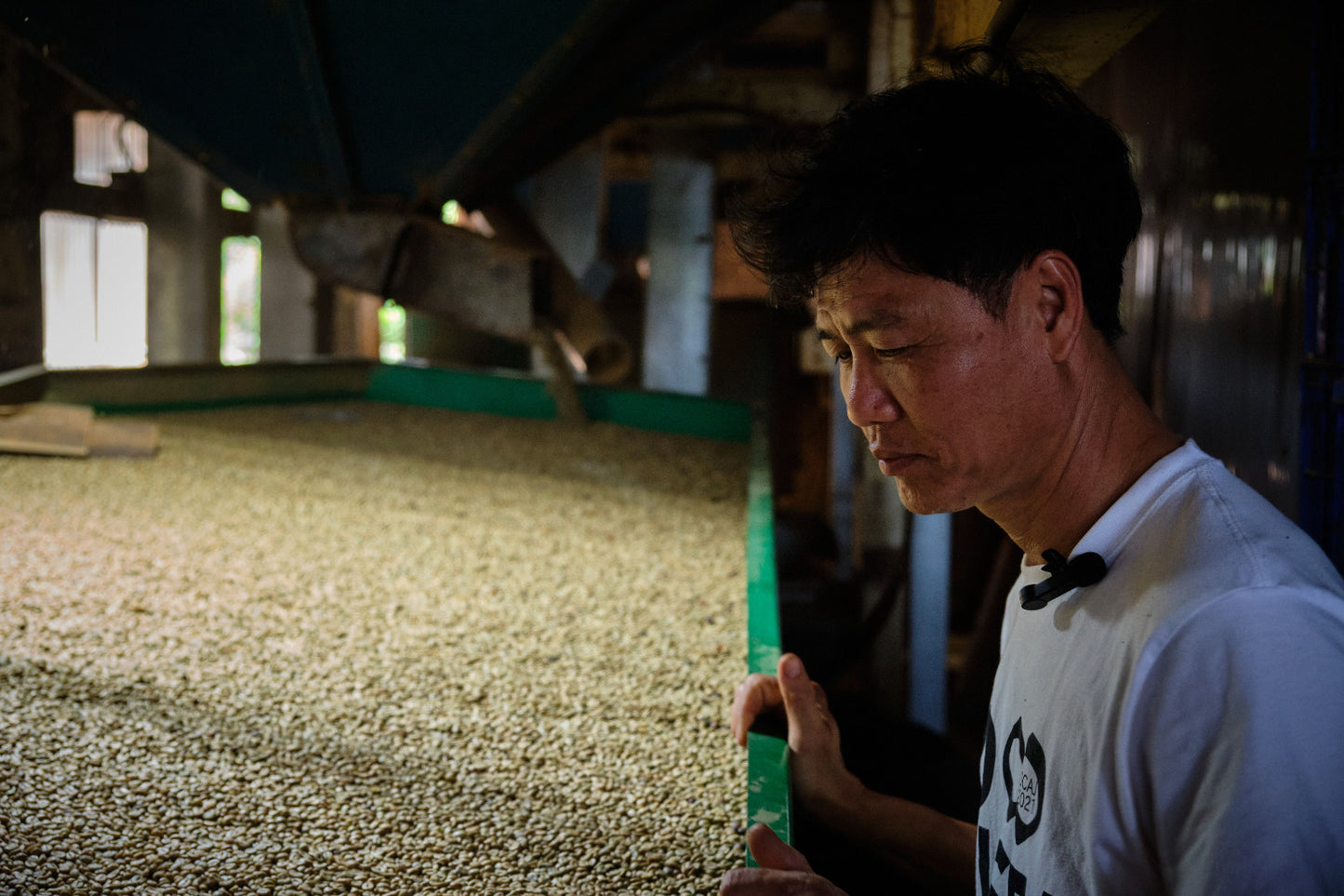 ROBUSTA
