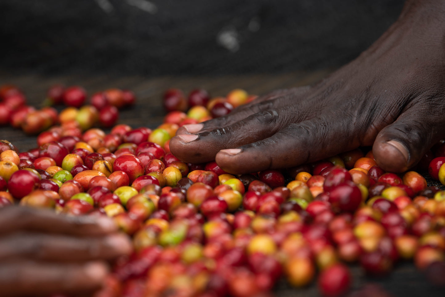 OBSTSALAT - Filterkaffee aus Ruanda
