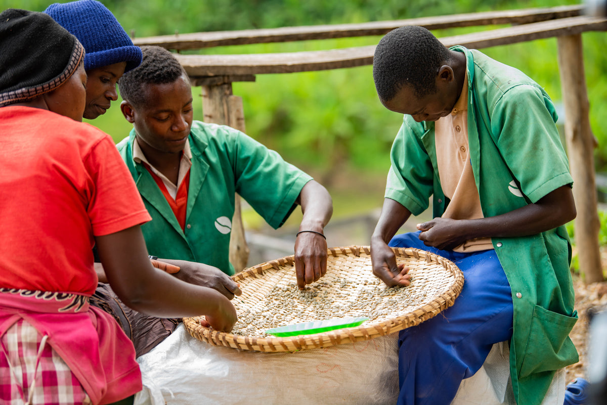 OBSTSALAT - Filterkaffee aus Ruanda