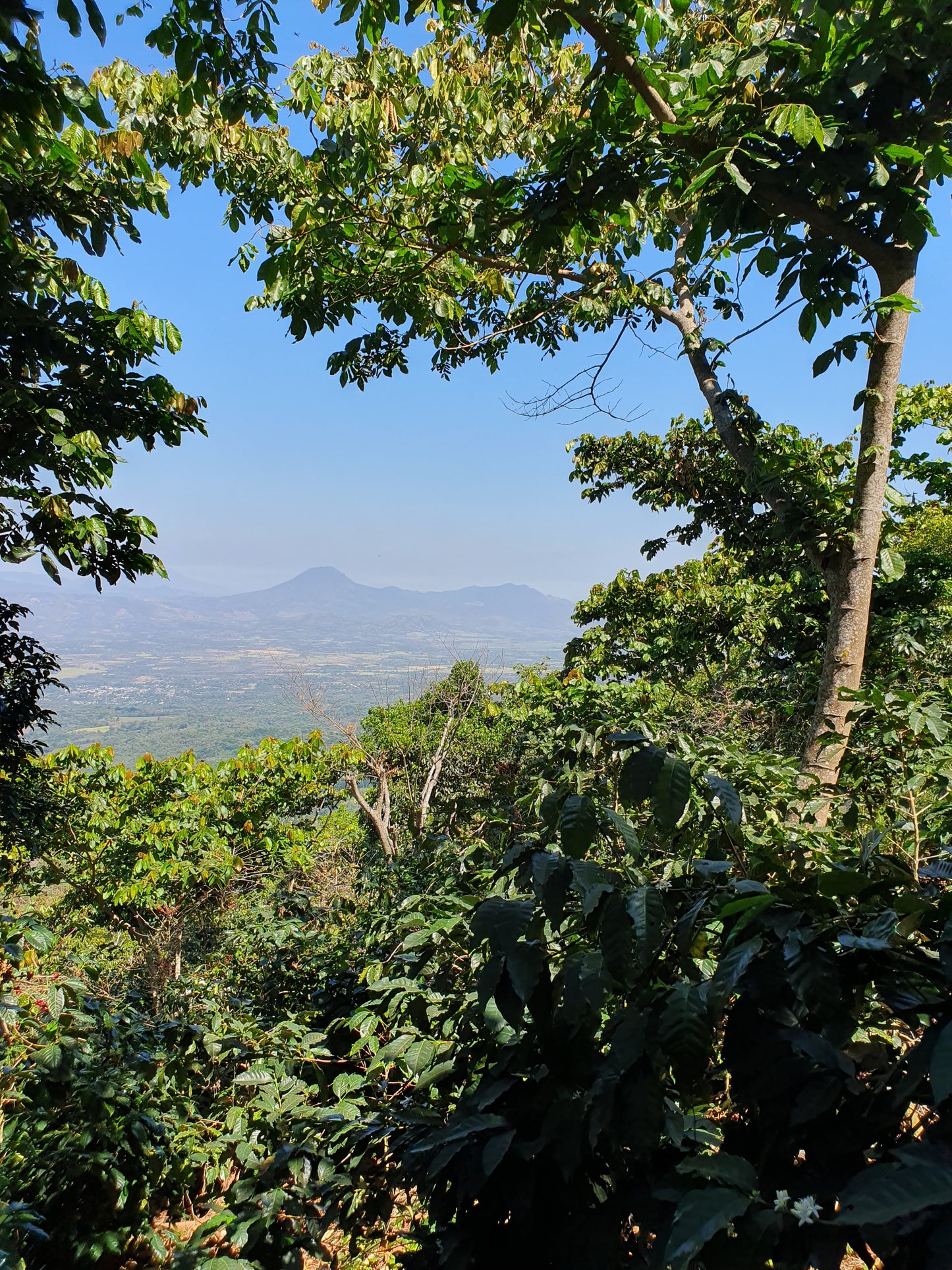 Norden Sonderedition