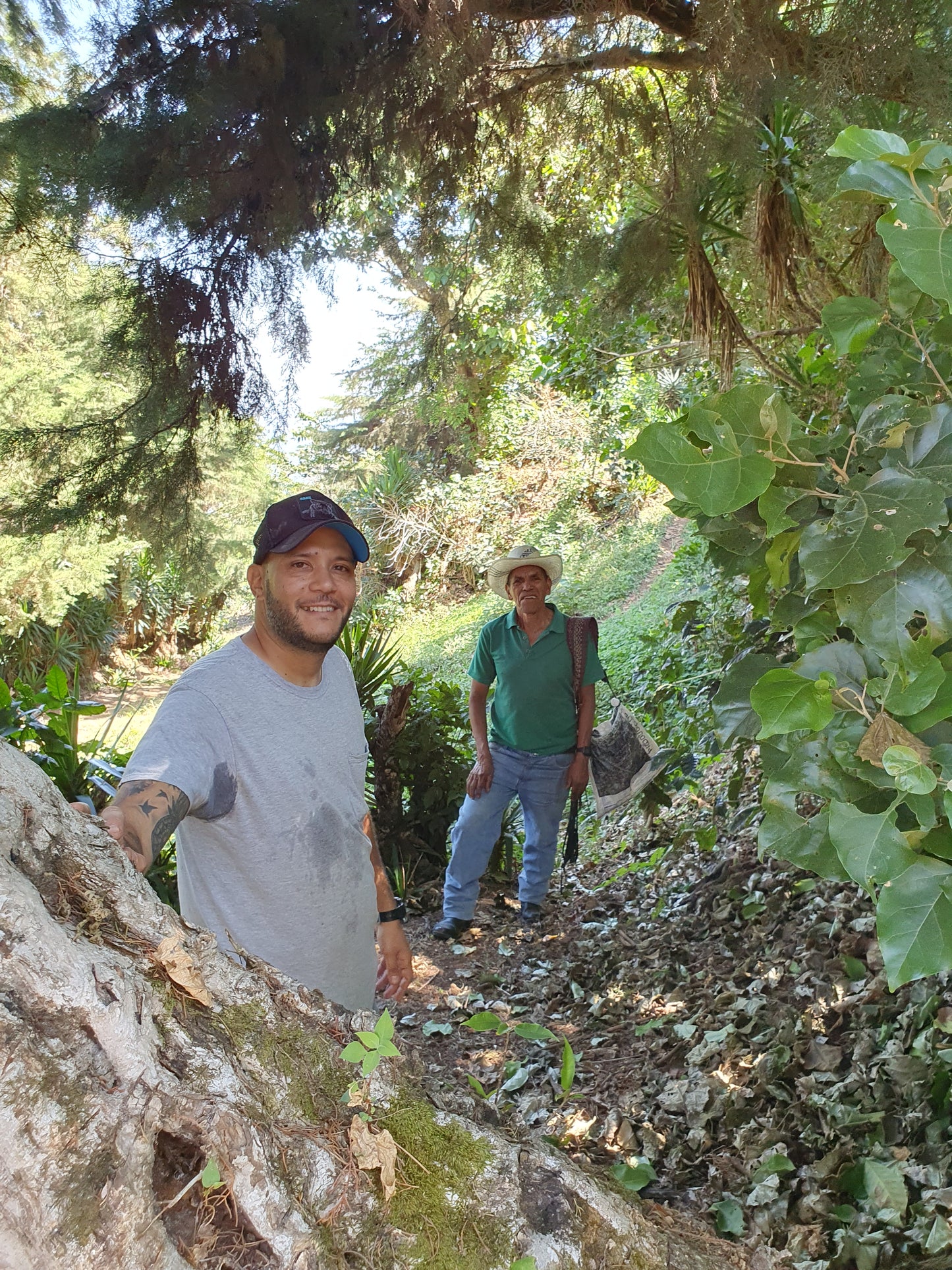 Norden Sonderedition